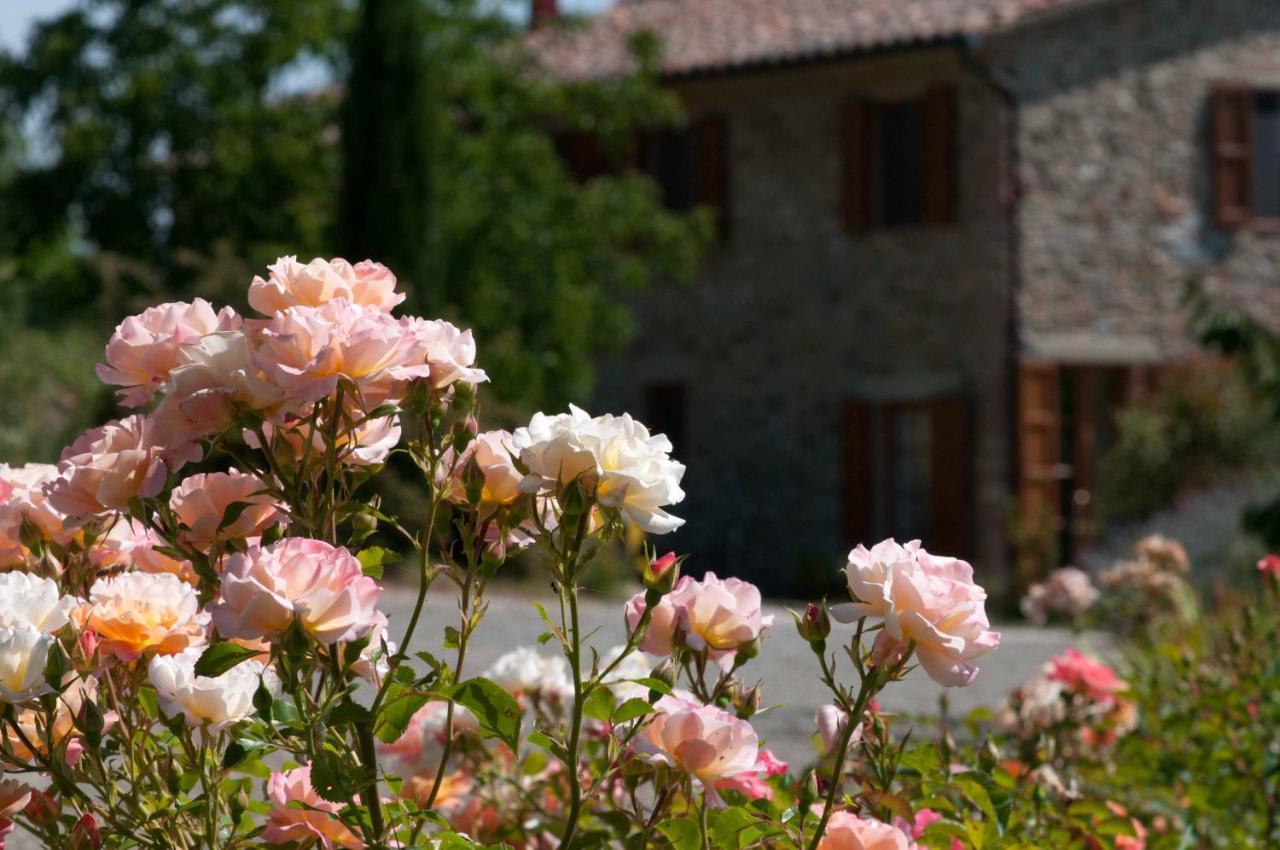 Agriturismo Le Valli Casciana Terme Exterior photo